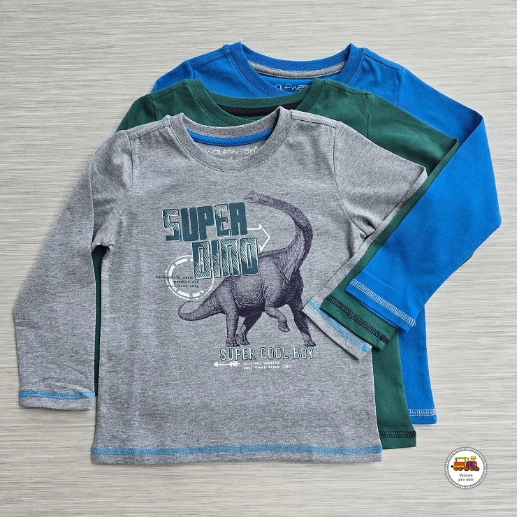 Bavlněné tričko Wolf S2631 SUPER DINO šedé vel.110